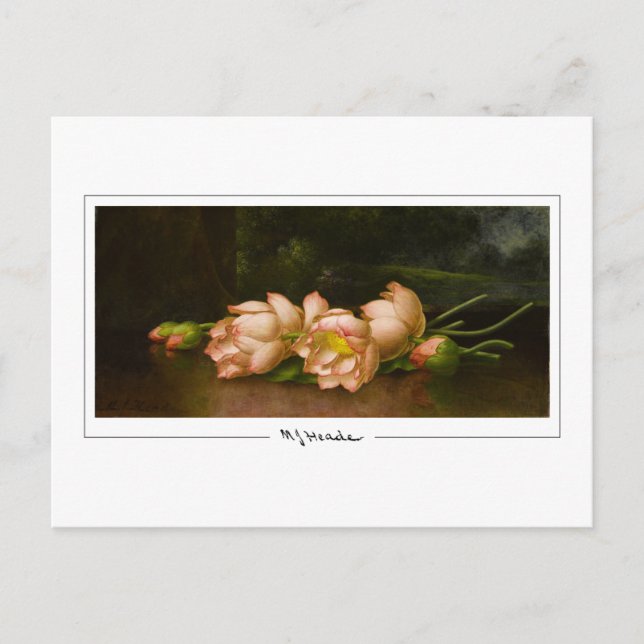 Martin Johnson Heade #34 - Carte postale d'art fin (Devant)