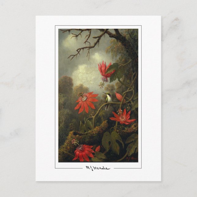 Martin Johnson Heade #36 - Carte postale d'art fin (Devant)