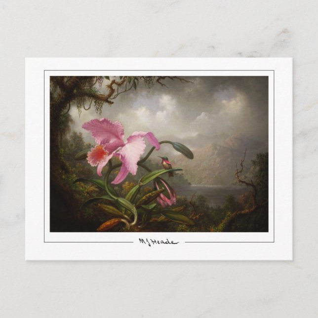 Martin Johnson Heade #45 - Carte postale d'art fin (Devant)