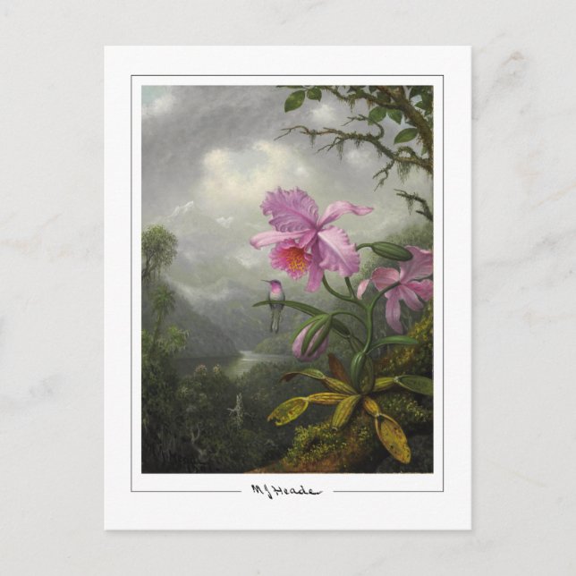 Martin Johnson Heade #4 - Carte postale d'art fin (Devant)