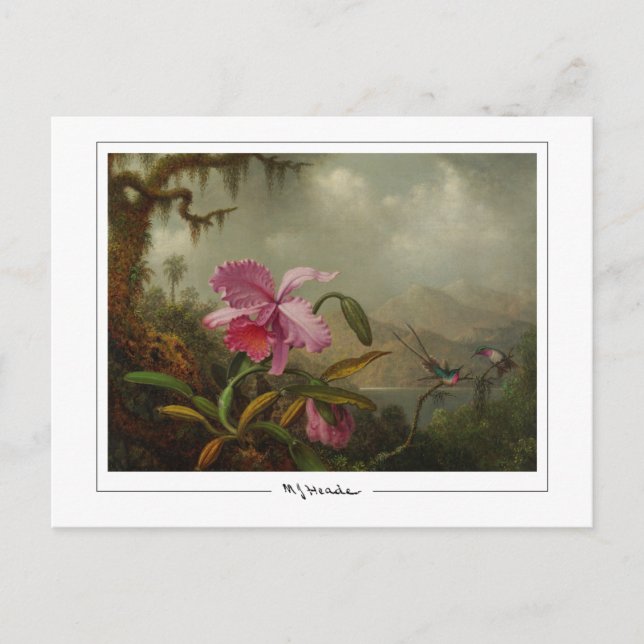 Martin Johnson Heade #51 - Carte postale Art (Devant)