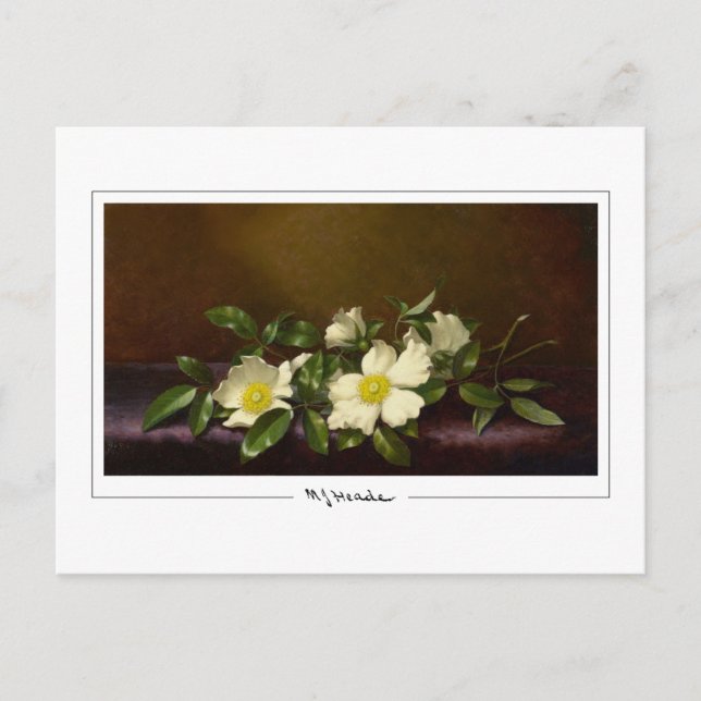 Martin Johnson Heade #52 - Carte postale d'art (Devant)