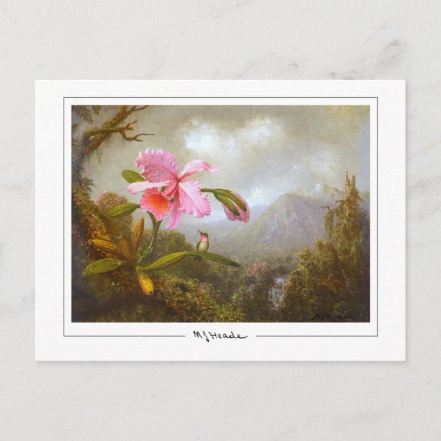 Martin Johnson Heade #8 - Carte postale d'art fin (Devant)