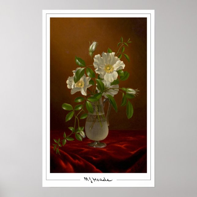Martin Johnson Heade Affiche d'art Zedign #5 (Devant)