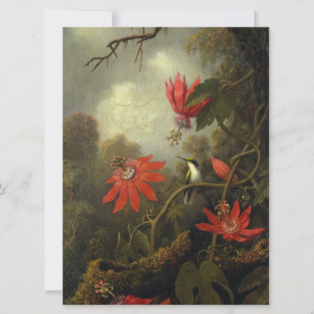 Martin Johnson Heade - Colibri Et Passion (Devant)