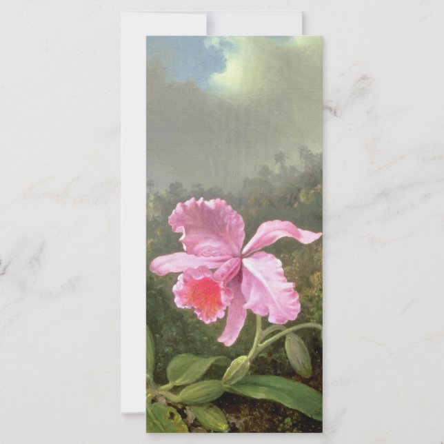 Martin Johnson Heade Orchid Et Hummingbirds (Devant)