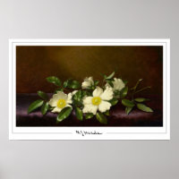 Martin Johnson Heade Zedign Affiche d'art #52