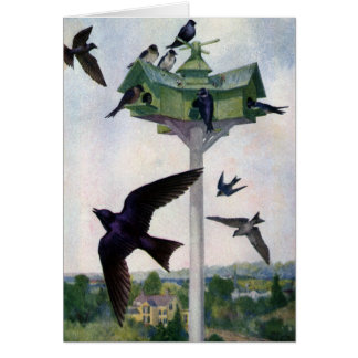 Martins pourpres et leur maison d'oiseaux
