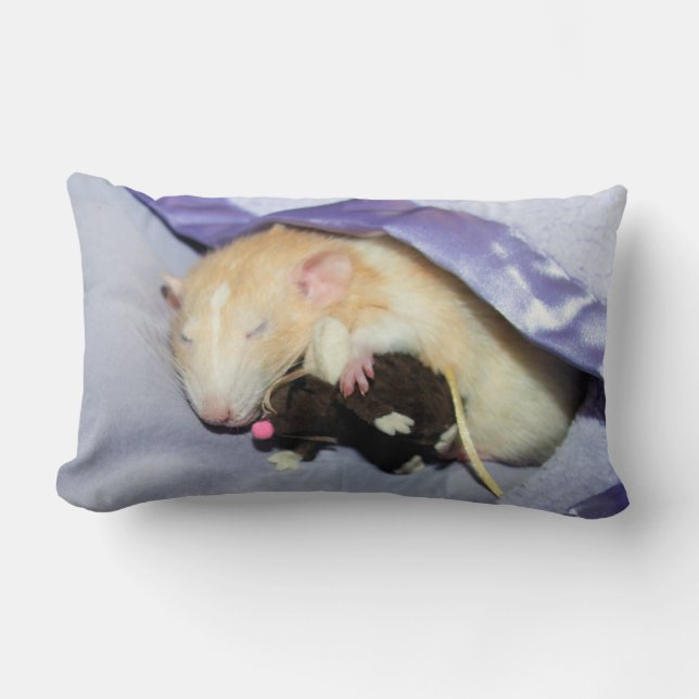 Marty Dormir avec RatTeddy Coussin 16x16 (Recto)