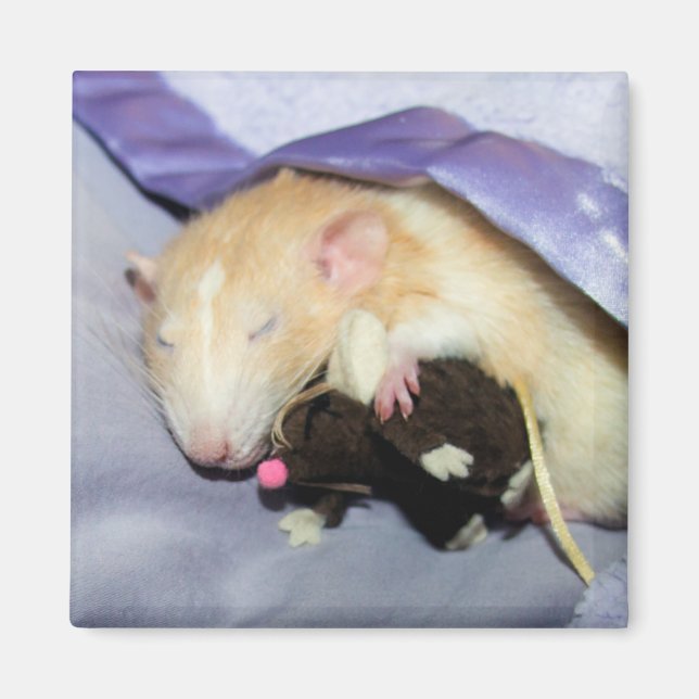 Marty et Teddy Magnet (Devant)