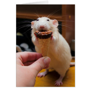Marty mange de la glace crème
