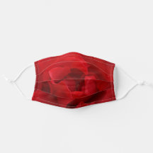 Flore du pétale rouge de rose