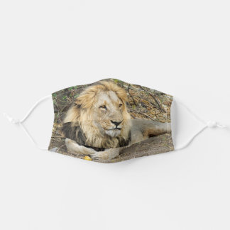 Masque En Tissu Un lion mâle