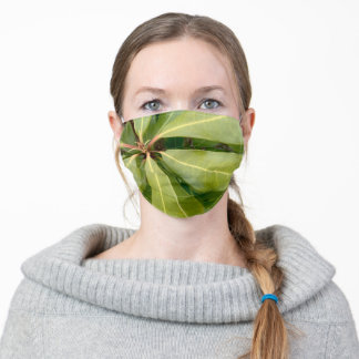 Masque Terre