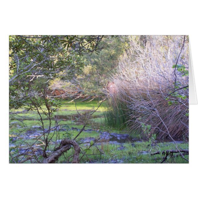 Masquer et rechercher (Devant Horizontal)