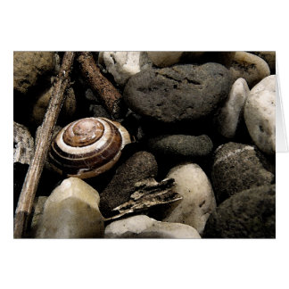 Masquer et rechercher