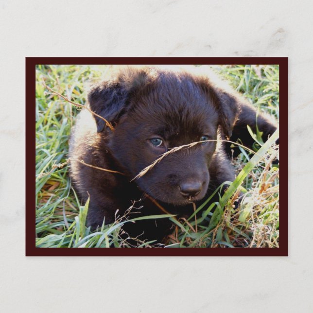 Masquer et rechercher les cartes postales (Devant)