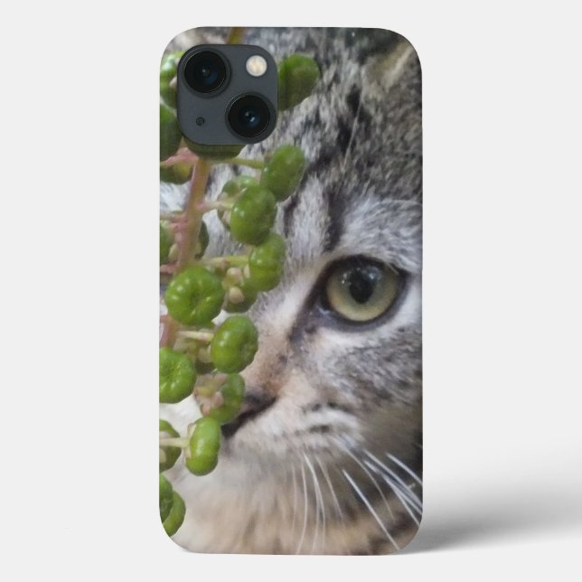 Masquer Kitten coque ipad de téléphone OEIL (Verso)