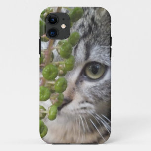 Masquer Kitten EYE-Phone 5 Coque