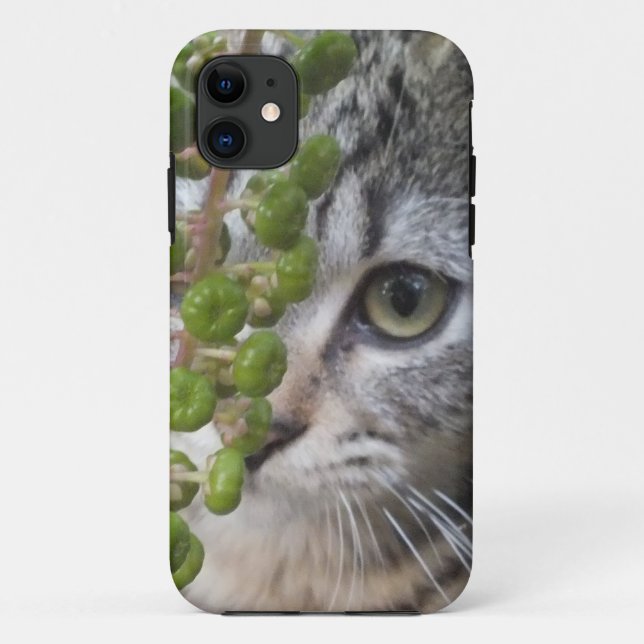 Masquer Kitten EYE-Phone 5 Coque (Dos)