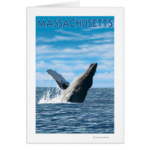 MassachusettsScène de baleines à bosse