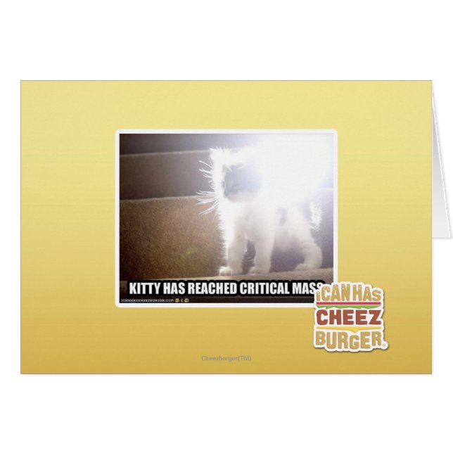 Masse critique Kitty (Devant horizontal)