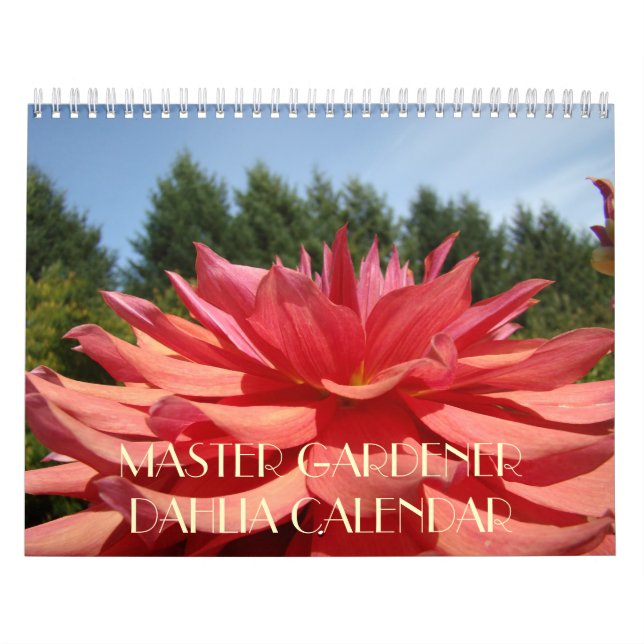 MASTER GARDENER Dahlia Fleurs Calendrier Cadeaux (Protection)