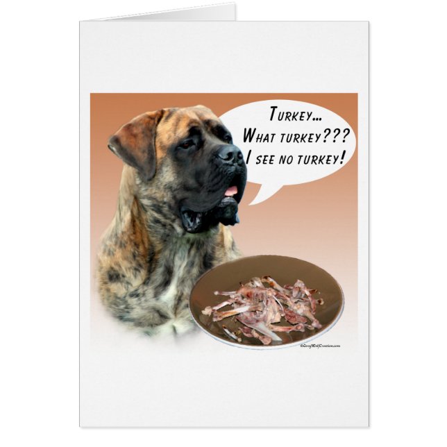 Mastiff (brosse) Turquie (Devant)