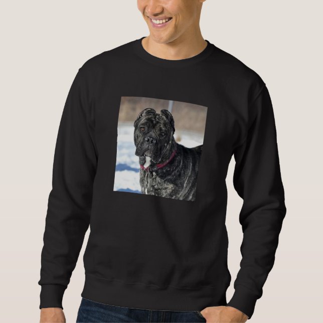 MASTIFF/CANE CORSO SWEATSHIRT (Devant)