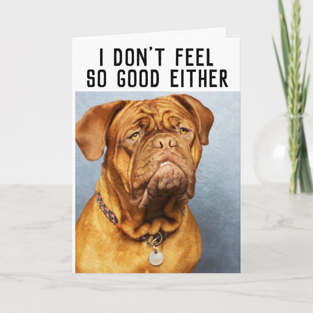 MASTIFF CHIEN FUNNY OBTENEZ DES CARTES DE BIEN (Devant)