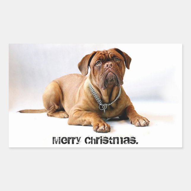 Mastiff Deadpan Chien Joyeux Sticker de Noël (Devant)