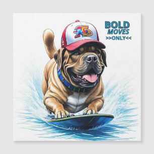 Mastiff Dogue anglais planche de surf vacances