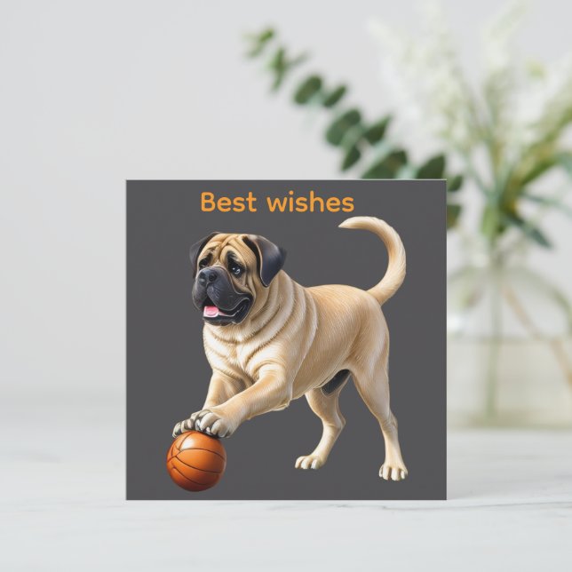 Mastiff Dogue Anglaise avec ballon en vacances (Debout devant)