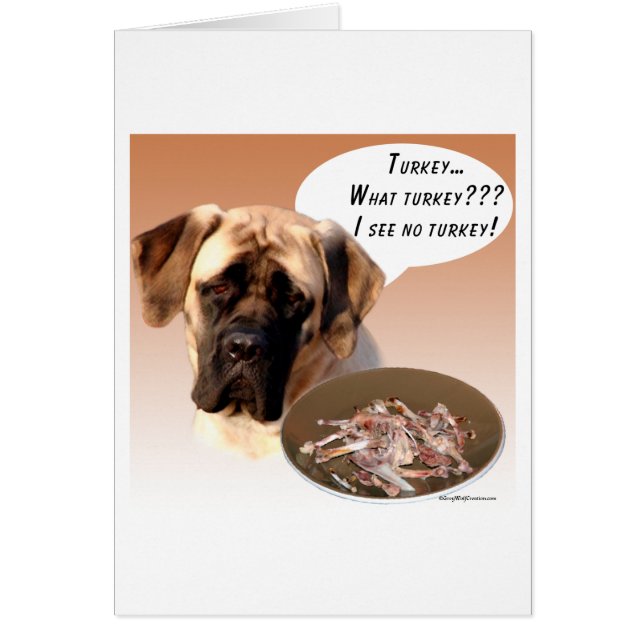 Mastiff (fawn) Turquie (Devant)