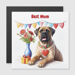 Mastiff lors d'une fête