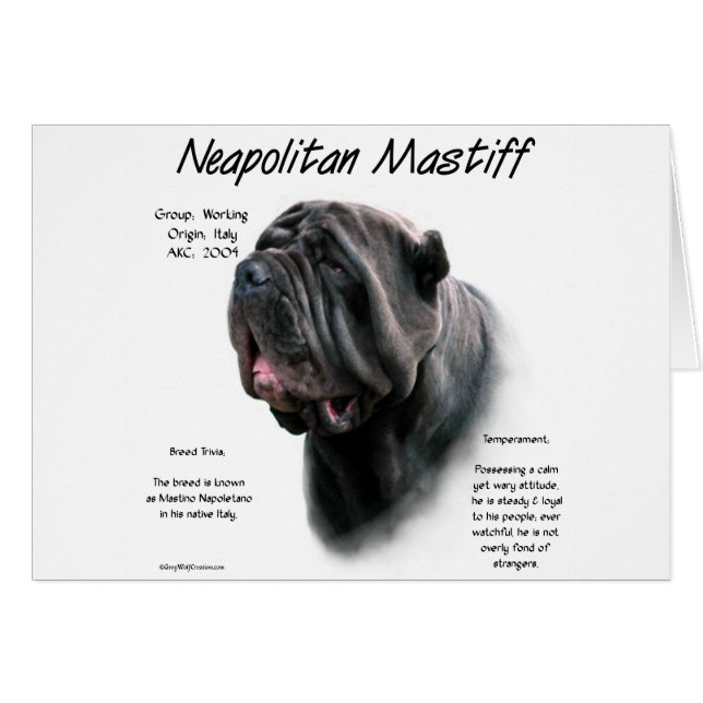 Mastiff napolitain (noir) (Devant horizontal)