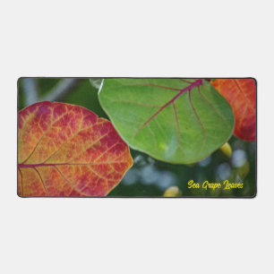 Mat à feuilles de raisin de mer