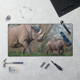 Maternité chez les rhinocéros