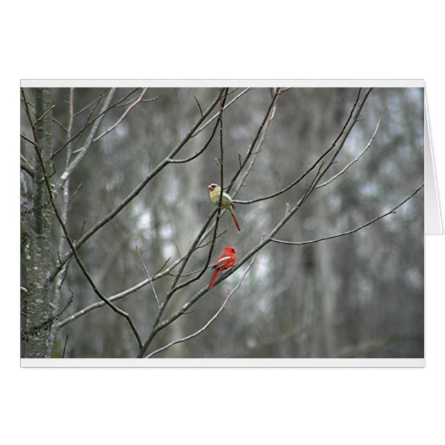 Mates pour la vie (Devant horizontal)