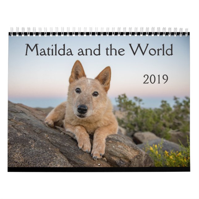 Matilda et le calendrier du monde 2019 (Protection)