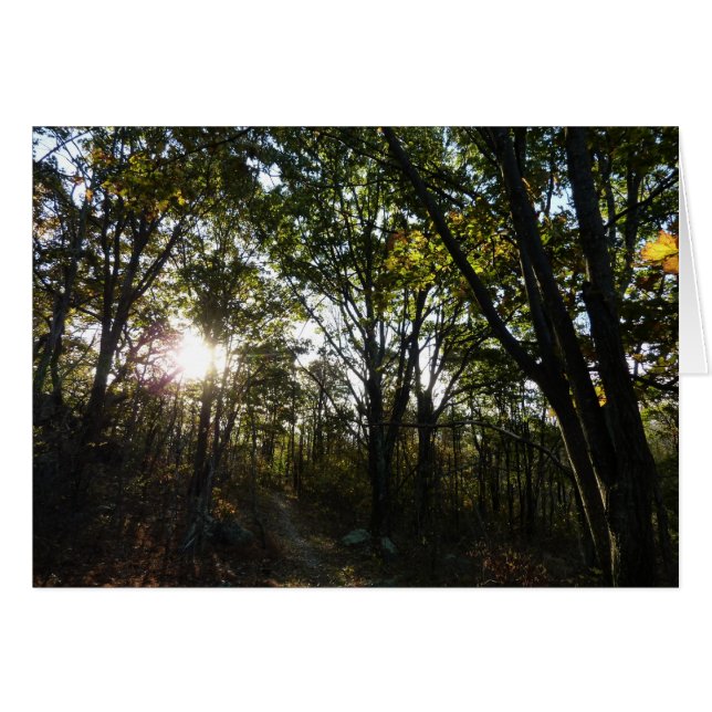 Matin d'automne au parc national de Shenandoah (Devant horizontal)