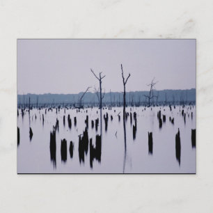 "Matin de deuil" - Carte postale