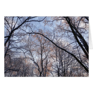 Matin d'hiver II Paysage naturel