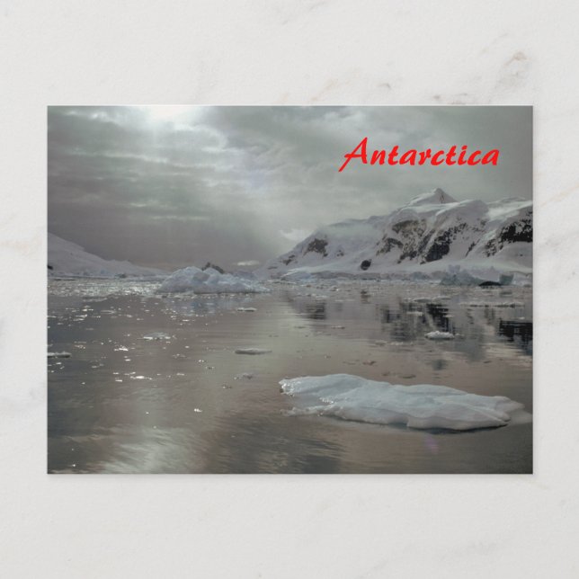 Matin en Antarctique carte postale (Devant)
