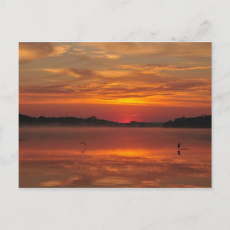 Matin précieux - Rinyaszentkiraly, Carte postale