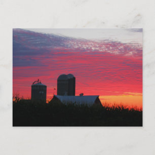 Matin Sur La Carte Postale Agricole