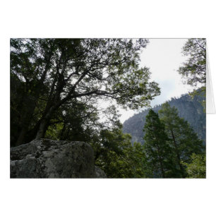 Matin sur le sentier menant à Vernal Falls dans Yo