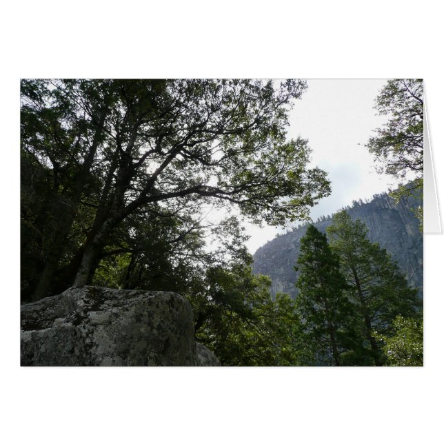 Matin sur le sentier menant à Vernal Falls dans Yo (Devant horizontal)
