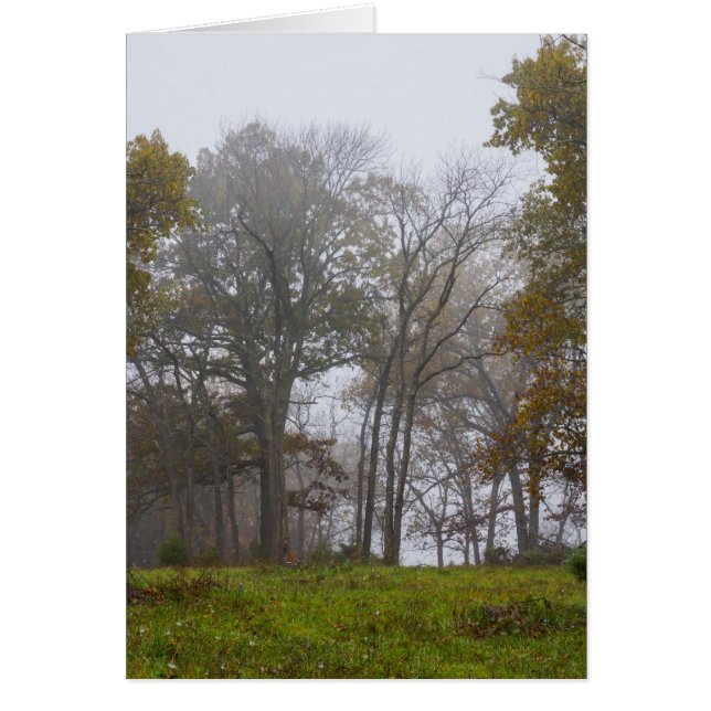 Matinée Brumeuse d'Automne à la Campagne (Devant)