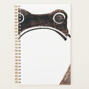 Matsumoto Hoji Frog